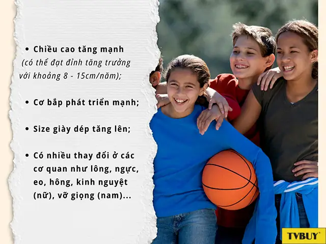 Sự Phát Triển Thể Chất