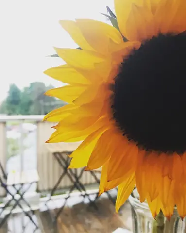 Rèn Luyện Tư Duy Tích Cực - Phần 5: Những Điều Quan Trọng Nhất ...