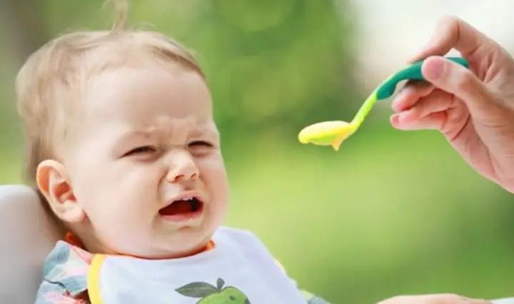 6những Điểm Mẹ Cần Lưu Ý Khi Lần Đầu Cho Bé Ăn Dặm Kiểu Nhật