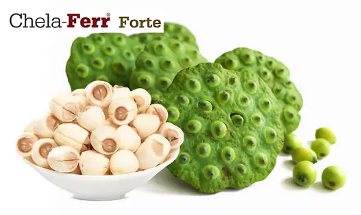 Bà Bầu 3 Tháng Đầu Ăn Hạt Sen Được Không?