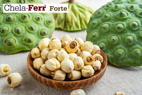 Lưu Ý Khi Bà Bầu 3 Tháng Đầu Ăn Hạt Sen