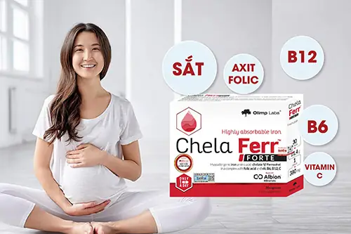 Thực Phẩm Bảo Vệ Sức Khỏe Chela Ferr Forte