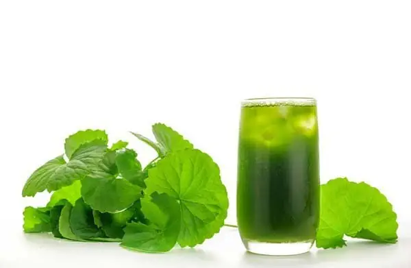 Bà Bầu Uống Được Nước Rau Má Không? | Vinmec