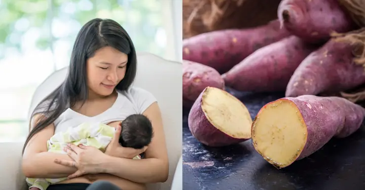 Sau Sinh Ăn Khoai Lang Được Không? Lợi Ích Tuyệt Vời Của Khoai Lang