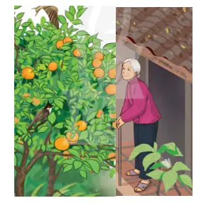 Tìm Từ Ngữ Tả Thời Tiết Tháng Giêng, Tháng Hai. (ảnh 1)