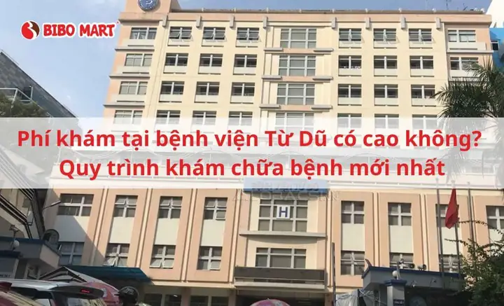 Phí Khám Bệnh Viện Từ Dũ Có Cao Không? Quy Trình Khám Bệnh Phí Khám Bệnh Viện Từ Dũ Có Cao Không? Quy Trình Khám Bệnh