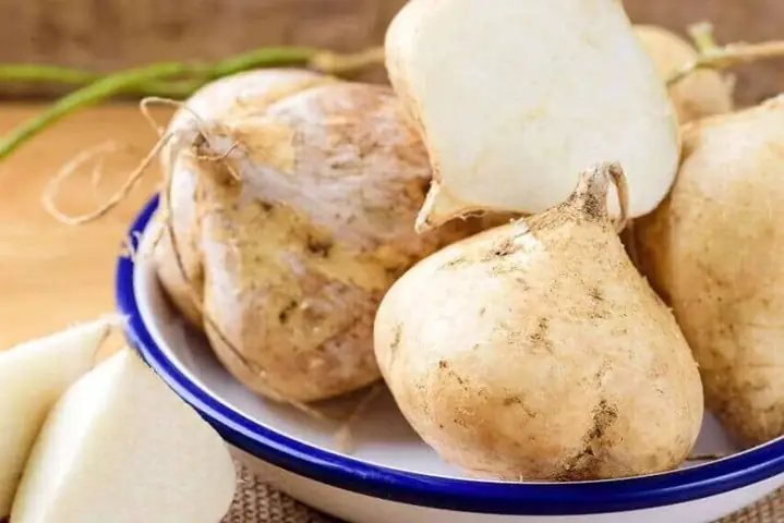 Bà Bầu Ăn Củ Đậu Được Không? Lời Khuyên Khi Mẹ Bầu Ăn Củ Đậu Bà Bầu Ăn Củ Đậu Được Không? Lời Khuyên Khi Mẹ Bầu Ăn Củ Đậu