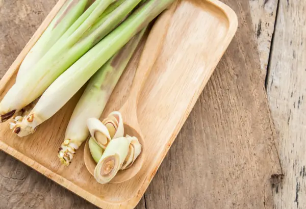 Giảm Ốm Nghén Đầu Thai Kỳ Giảm Ốm Nghén Đầu Thai Kỳ