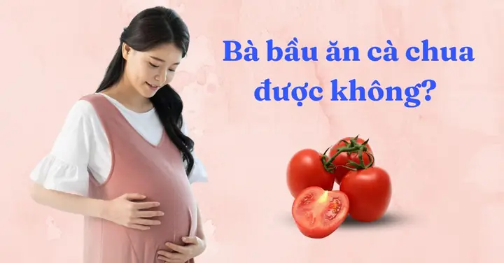 Bà Bầu Ăn Cà Chua Được Không? Gợi Ý Những Lợi Ích Tuyệt Vời Bà Bầu Ăn Cà Chua Được Không? Gợi Ý Những Lợi Ích Tuyệt Vời