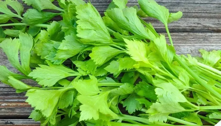Giá Trị Dinh Dưỡng Đa Dạng Từ Rau Cần Tây