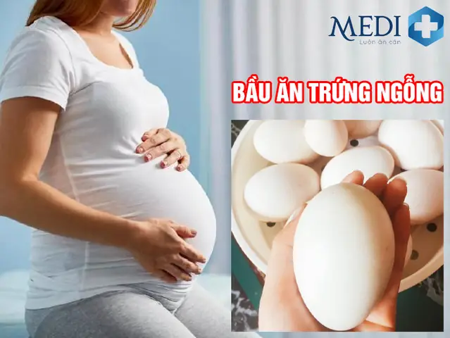 Bầu 3 Tháng Đầu Ăn Trứng Ngỗng Được Không? Bầu 3 Tháng Đầu Ăn Trứng Ngỗng Được Không?