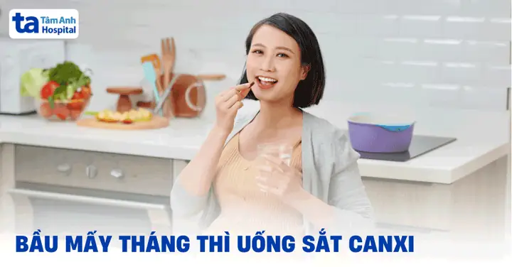 Có Bầu Mấy Tháng Thì Uống Sắt Và Canxi? Bổ Sung Thế Nào Thì Phù ...