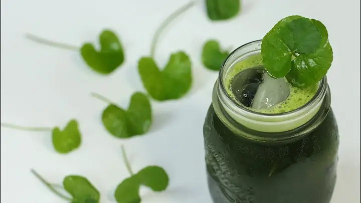 Bà Bầucó Nên Dùng Rau Má Không?