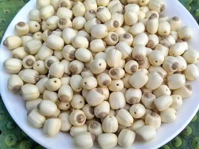 Trẻ Ăn Nhiều Hạt Sen Có Tốt Không? Trẻ Ăn Nhiều Hạt Sen Có Tốt Không?