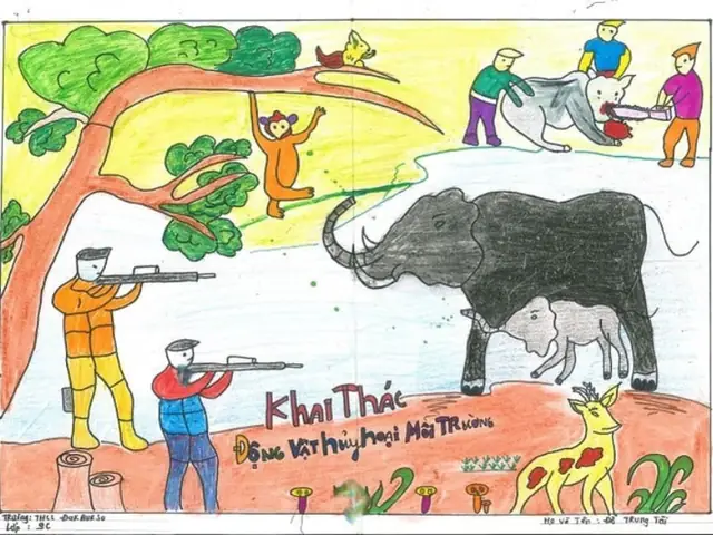 Vẽ Tranh Bảo Vệ Môi Trường Động Vật Hoang Dã