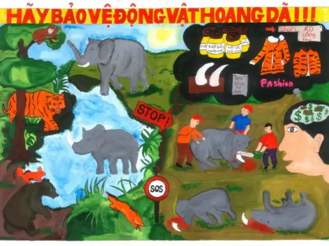 Vẽ Tranh Bảo Vệ Môi Trường Động Vật Hoang Dã