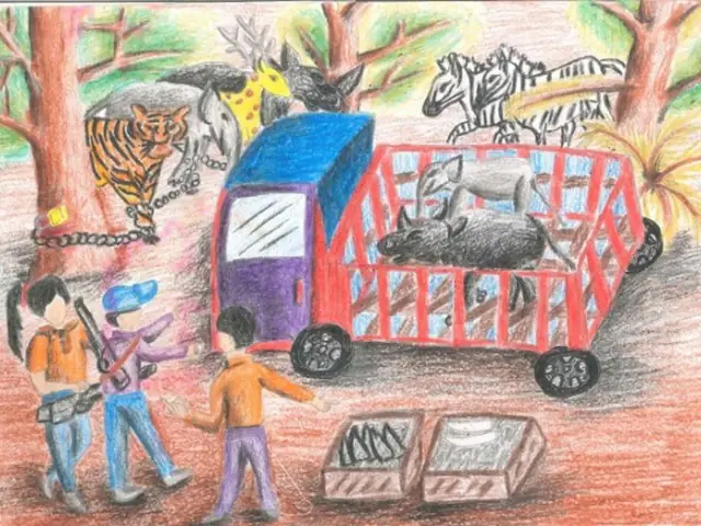 Vẽ Tranh Bảo Vệ Môi Trường Động Vật Hoang Dã