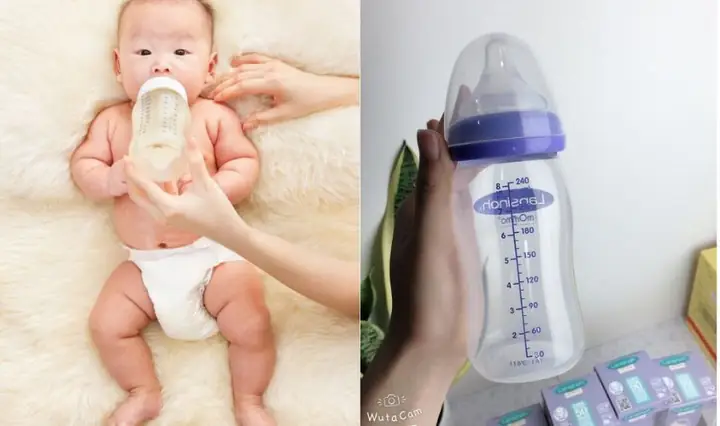 Thiết Kế Kiểu Dáng Của Bình Sữa Lansinoh