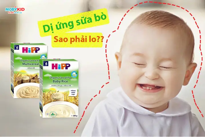 Bột Ăn Dặm Hipp Có Tốt Không? Bột Ăn Dặm Hipp Có Tốt Không?