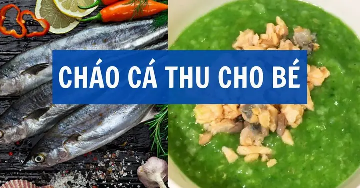Cách Làm Cháo Cá Thu Cho Bé Cho Mẹ Bỉm Cực Hay Cách Làm Cháo Cá Thu Cho Bé Cho Mẹ Bỉm Cực Hay