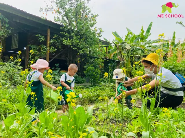 Bài Tập 3: Cơn Mưa Yêu Thương - Bài Tập Tưới Cây