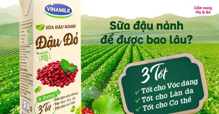 Sữa Đậu Nành Để Được Bao Lâu? Cách Bảo Quản Sữa Đậu Nành