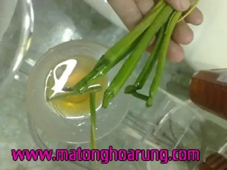 Nhận Biết Mật Ong Nguyên Chất, Thật Giả Bằng Cọng Hành Lá