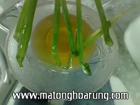 Nhận Biết Mật Ong Nguyên Chất, Thật Giả Bằng Cọng Hành Lá