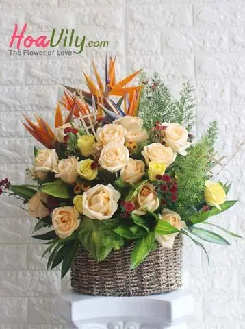 Các Bước Cắm Hoa Hồng Vào Giỏ Một Cách Chuyên Nghiệp? Các Bước Cắm Hoa Hồng Vào Giỏ Một Cách Chuyên Nghiệp?