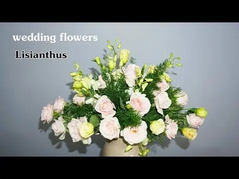 Các Bước Cắm Hoa Hồng Vào Giỏ Một Cách Chuyên Nghiệp? Các Bước Cắm Hoa Hồng Vào Giỏ Một Cách Chuyên Nghiệp?