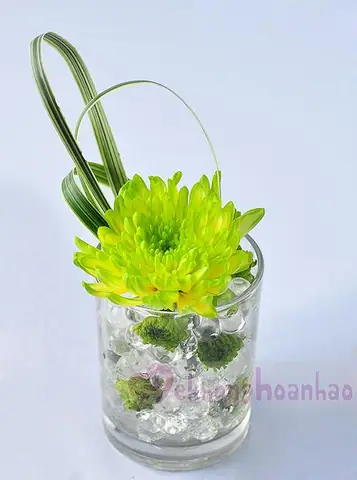 Cách Cắm Hoa Đẹp Với Ly Hoa Cúc Xanh