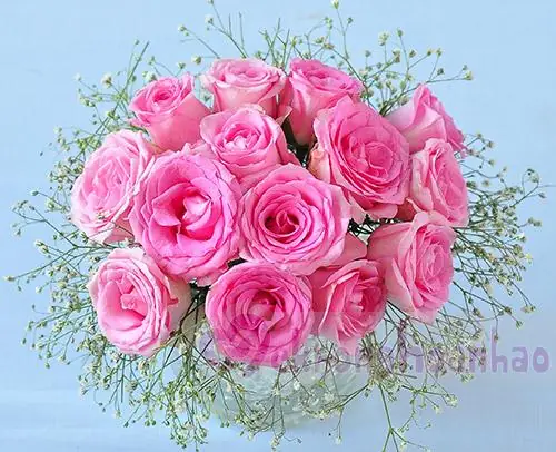 Cách Cắm Hoa Đẹp Với Ly Hoa Hồng Phấn