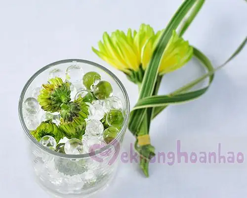 Cách Cắm Hoa Đẹp Với Ly Hoa Cúc Xanh