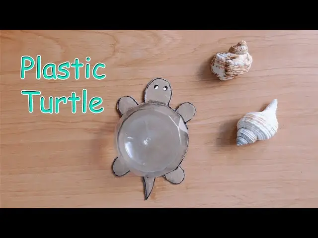 Chú Rùa Ngộ Nghĩnh Thức Tỉnh Tư Duy