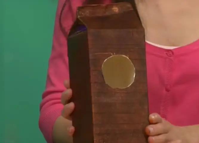 Cach-lam-ngoi-nha-bang-hop-sua-cho-cac-chu-chim