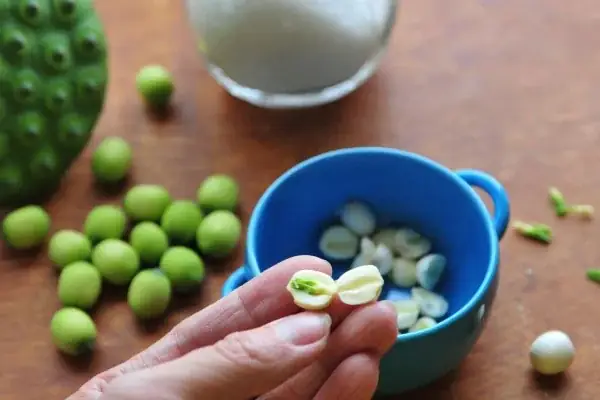 Đem Hạt Sen Đi Rửa Sạch, Để Ráo Đem Hạt Sen Đi Rửa Sạch, Để Ráo