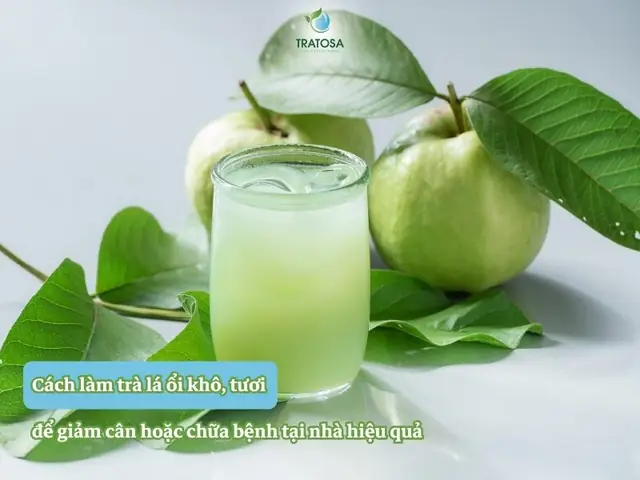 Cách Làm Trà Lá Ổi Khô, Tươi, Để Giảm Cân Hoặc Chữa Bệnh Tại Nhà Hiệu Quả