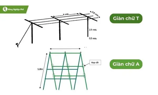 Các Loại Giàn Trồng Chanh Dây Các Loại Giàn Trồng Chanh Dây