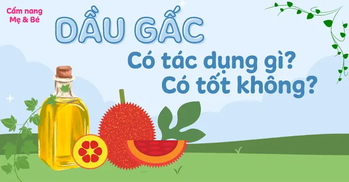 Dầu Gấc Có Tác Dụng Gì Và Những Lưu Ý Khi Sử Dụng Dầu Gấc