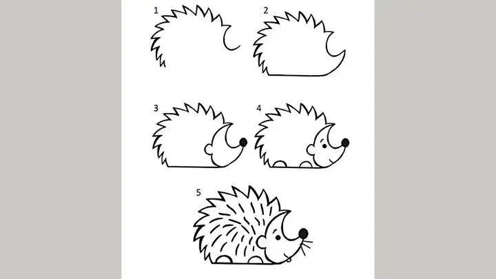 Cách Vẽ Con Nhím Dễ Thực Hiện