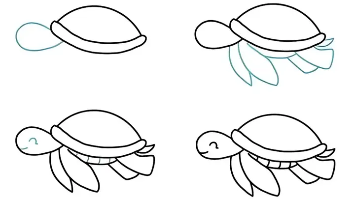 Cách Vẽ Con Rùa Cho Bé