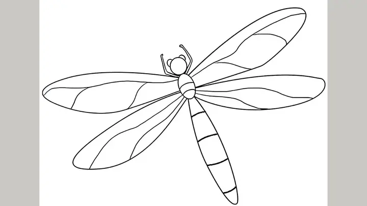 Cách Vẽ Con Chuồn Chuồn Cách Điệu