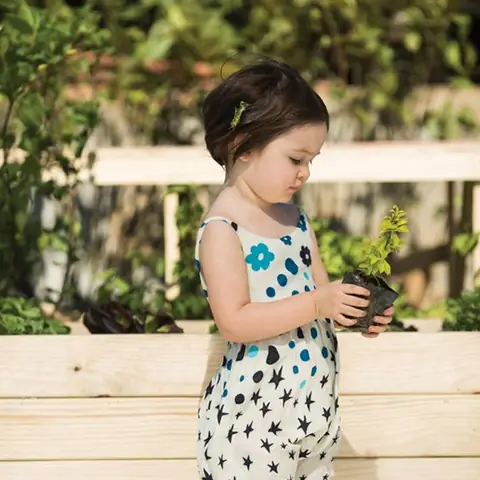 Biến Thể Pixie Bob