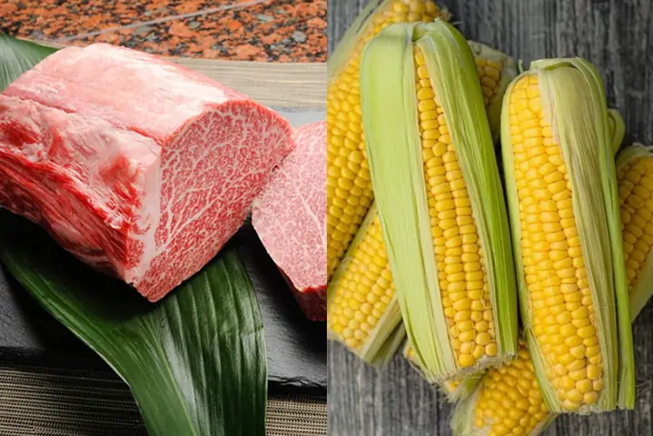 1lợi Ích Khi Cho Trẻ Ăn Dặm Thịt Bò Và Ngô Ngọt