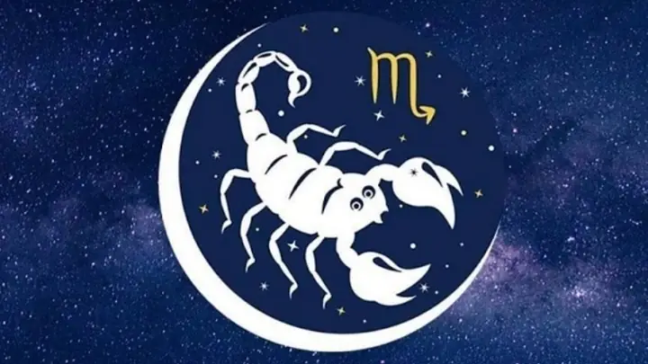 Cung Bọ Cạp Cung Gì? Cung Bọ Cạp Còn Gọi Là Cung Thiên Yết Cung Bọ Cạp Cung Gì? Cung Bọ Cạp Còn Gọi Là Cung Thiên Yết