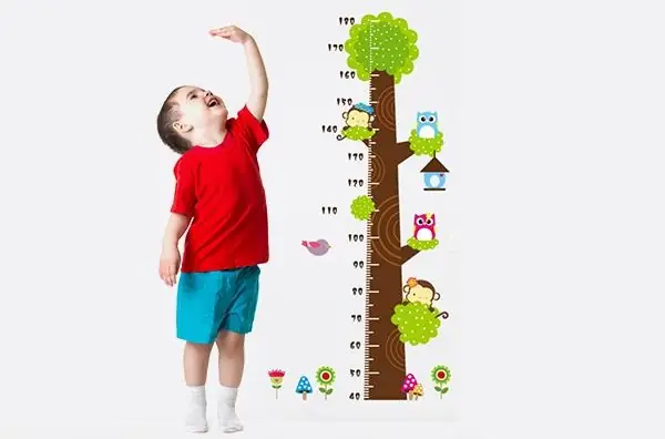 Giới Thiệu Về Chiều Cao Cân Nặng Bé Trai 3 Tuổi Giới Thiệu Về Chiều Cao Cân Nặng Bé Trai 3 Tuổi