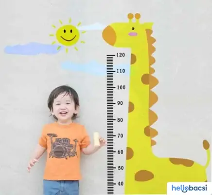 Chiều Cao Cân Nặng Bé Trai, Bé Gái Từ 0-18 Tuổi Theo Who • Hello Bacsi