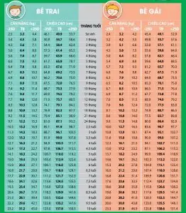 Tiêu Chuẩn Chiều Cao Cân Nặng Của Bé Trai Và Bé Gái Từ 1-10 Tuổi Là Bao Nhiêu? Tiêu Chuẩn Chiều Cao Cân Nặng Của Bé Trai Và Bé Gái Từ 1-10 Tuổi Là Bao Nhiêu?