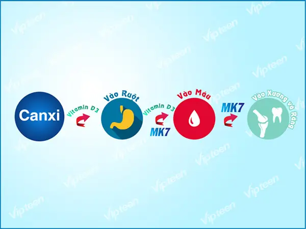 Bổ Sung Dinh Dưỡng Bổ Sung Dinh Dưỡng