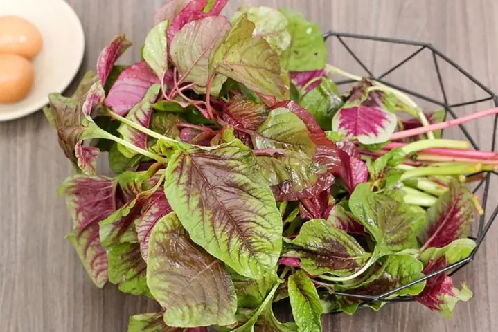 2bà Bầu Ăn Được Rau Dền Không?